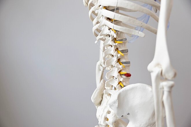 Physiotherapie in Wiesbaden